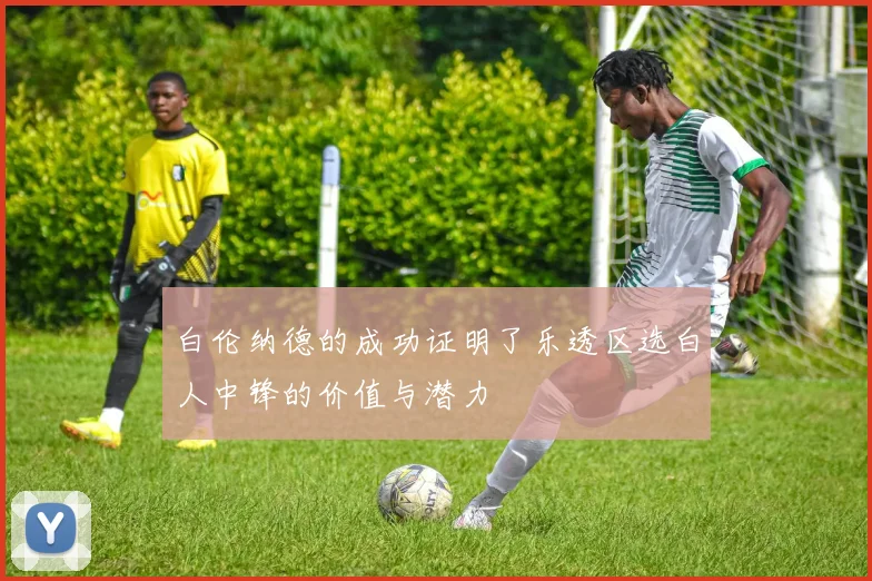 白伦纳德的成功证明了乐透区选白人中锋的价值与潜力