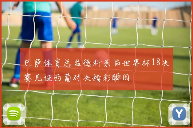 巴萨体育总监德科亲临世界杯18决赛见证西葡对决精彩瞬间