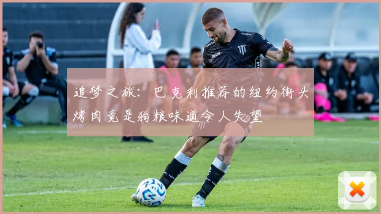 追梦之旅：巴克利推荐的纽约街头烤肉竟是狗粮味道令人失望